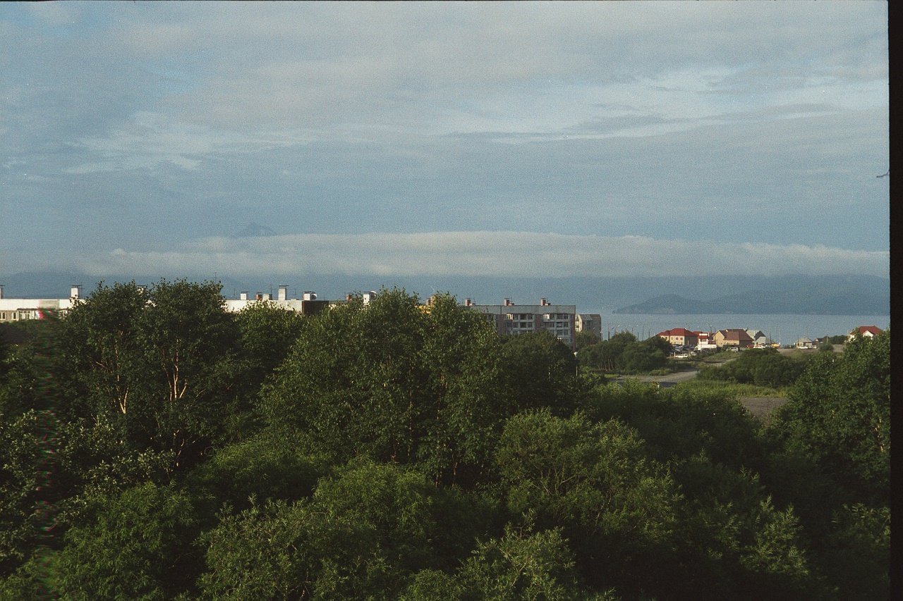 1710.jpg