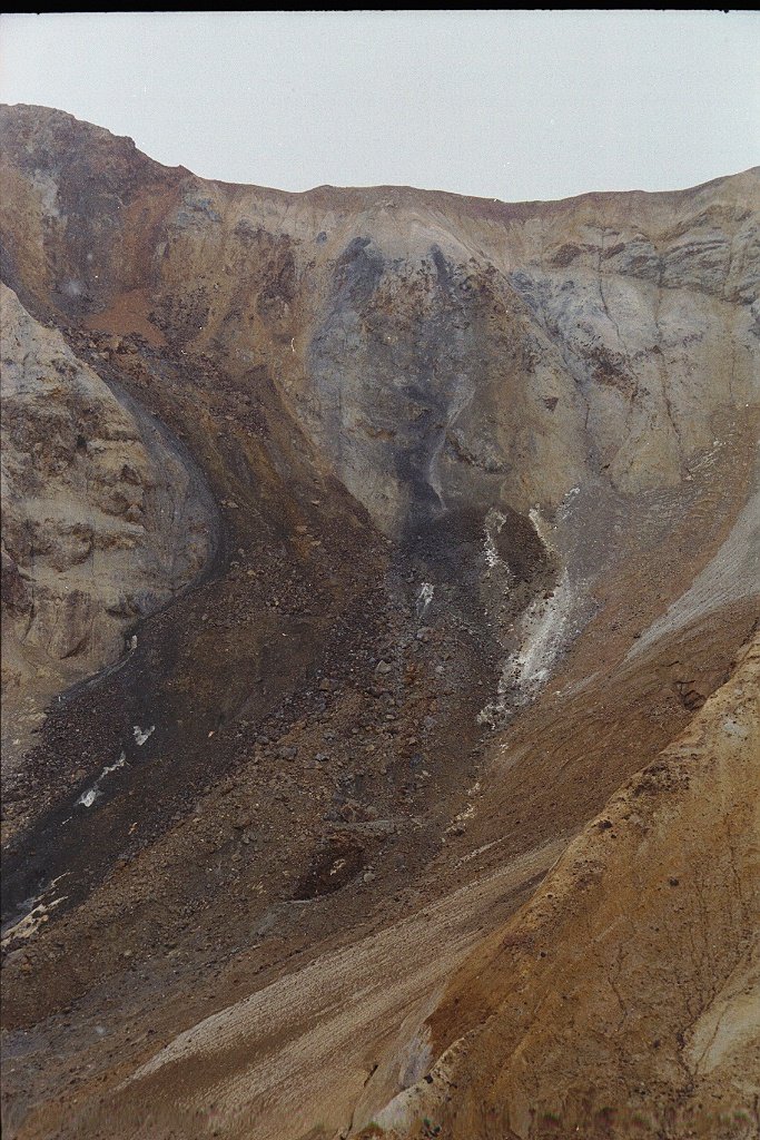 2010.jpg