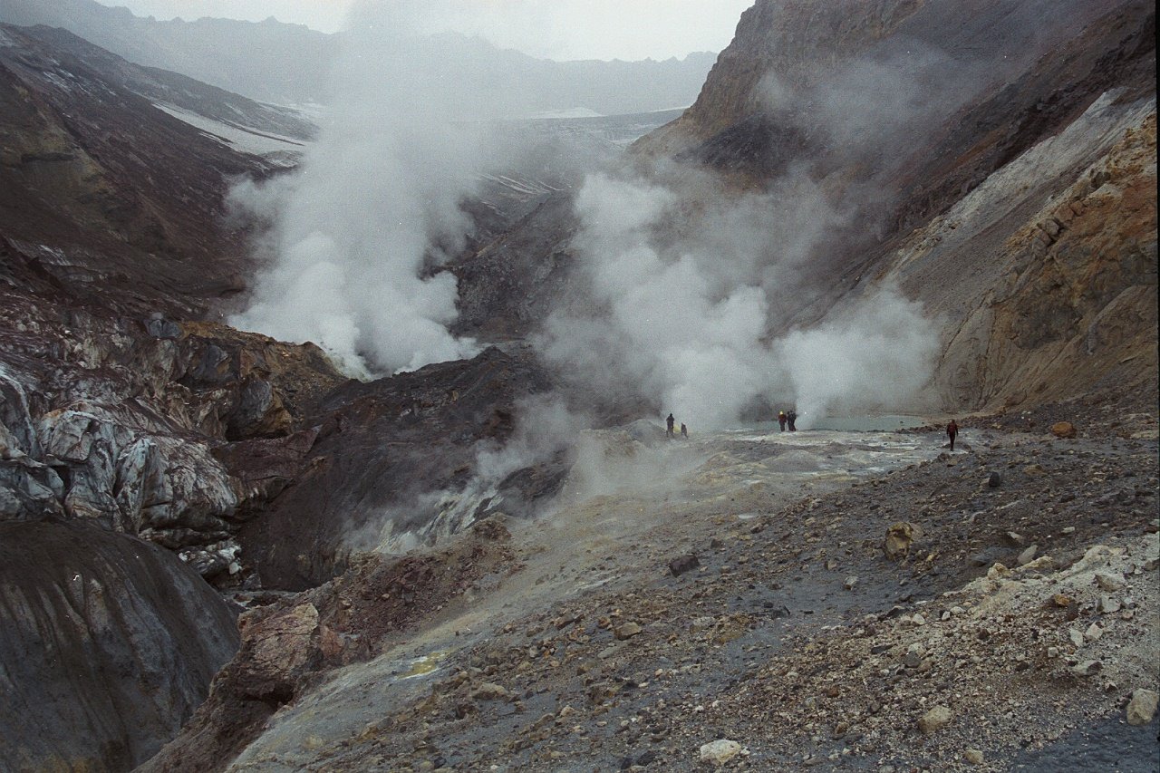 2011.jpg