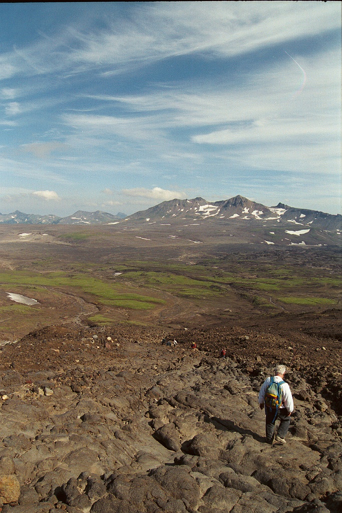 2315.jpg