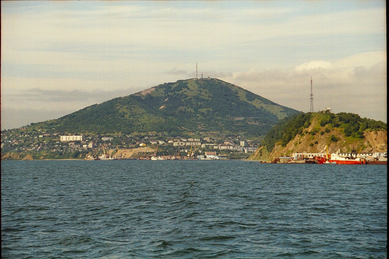 2728.jpg
